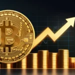 The Year 2023: A Record Year for Bitcoin, With Massive Gains and Exchange Anomalies